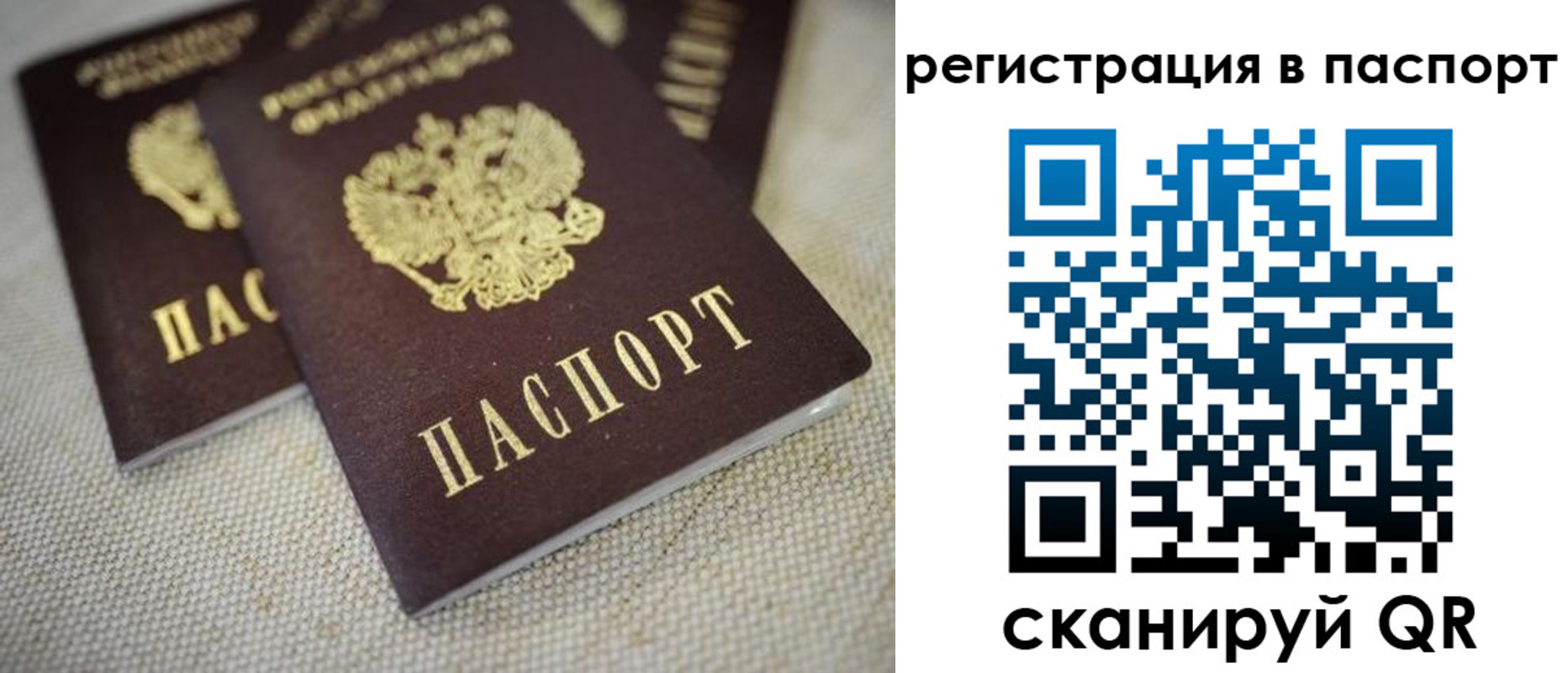 прописка гарантия в Муроме
